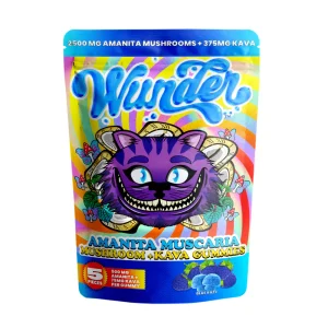 wunder 500mg amanita muscaria + 75mg kava | blue razz