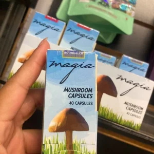 mushroom capsules – 4000mg
